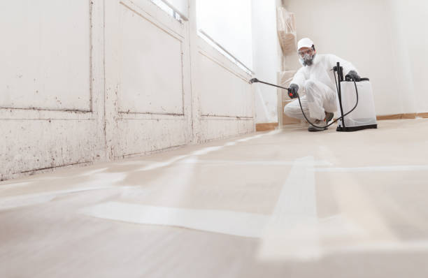 24/7 Emergency Mold Remediation experts in Ramsey, NJ